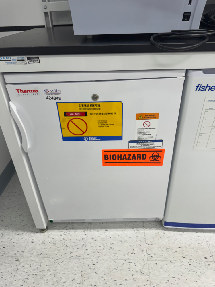 Image of Thermo Undercounter Refrigerator
